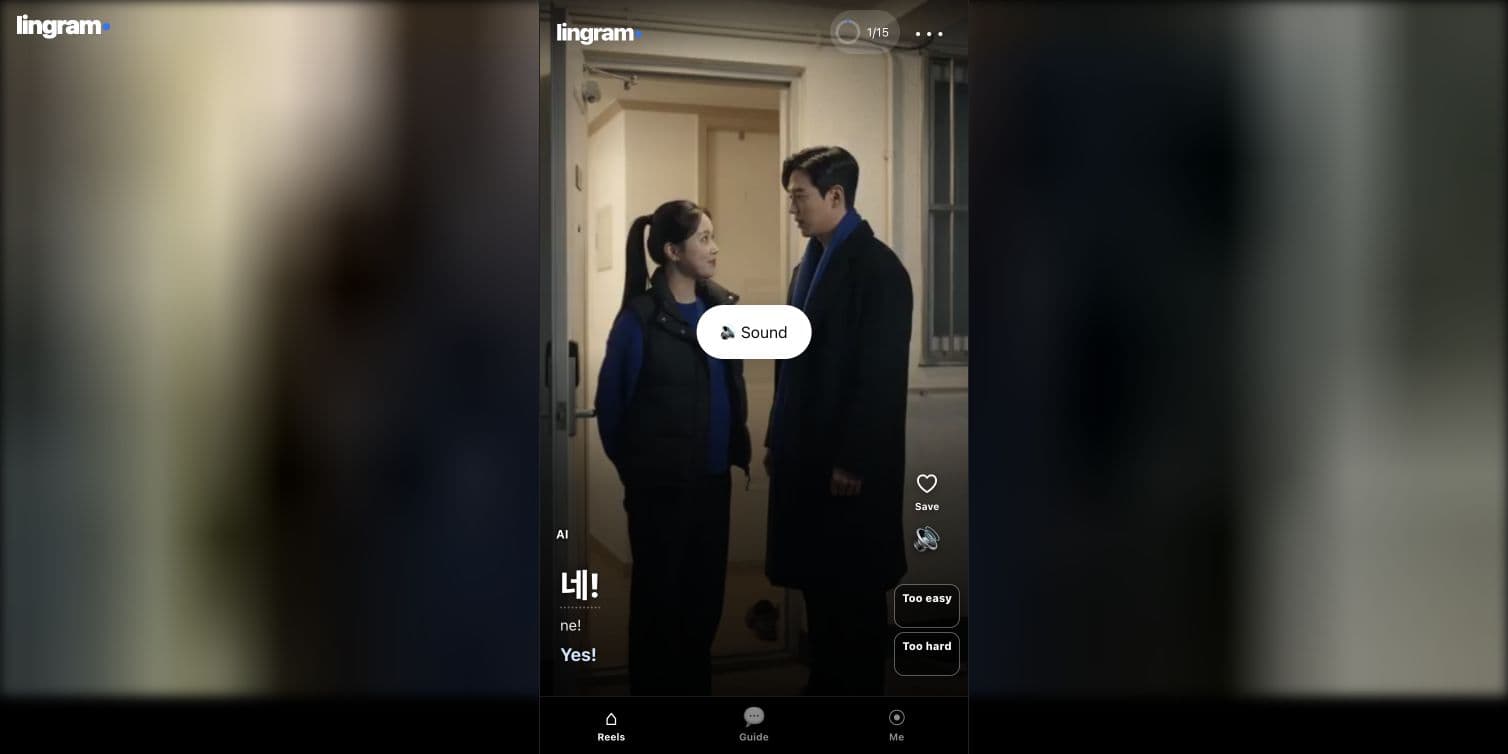 Korean Lingram feed on a phone